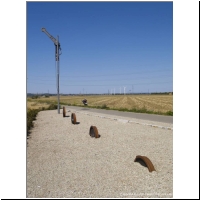 2007-08-05 Radweg Stammersdorfer Lokalbahn 03.jpg